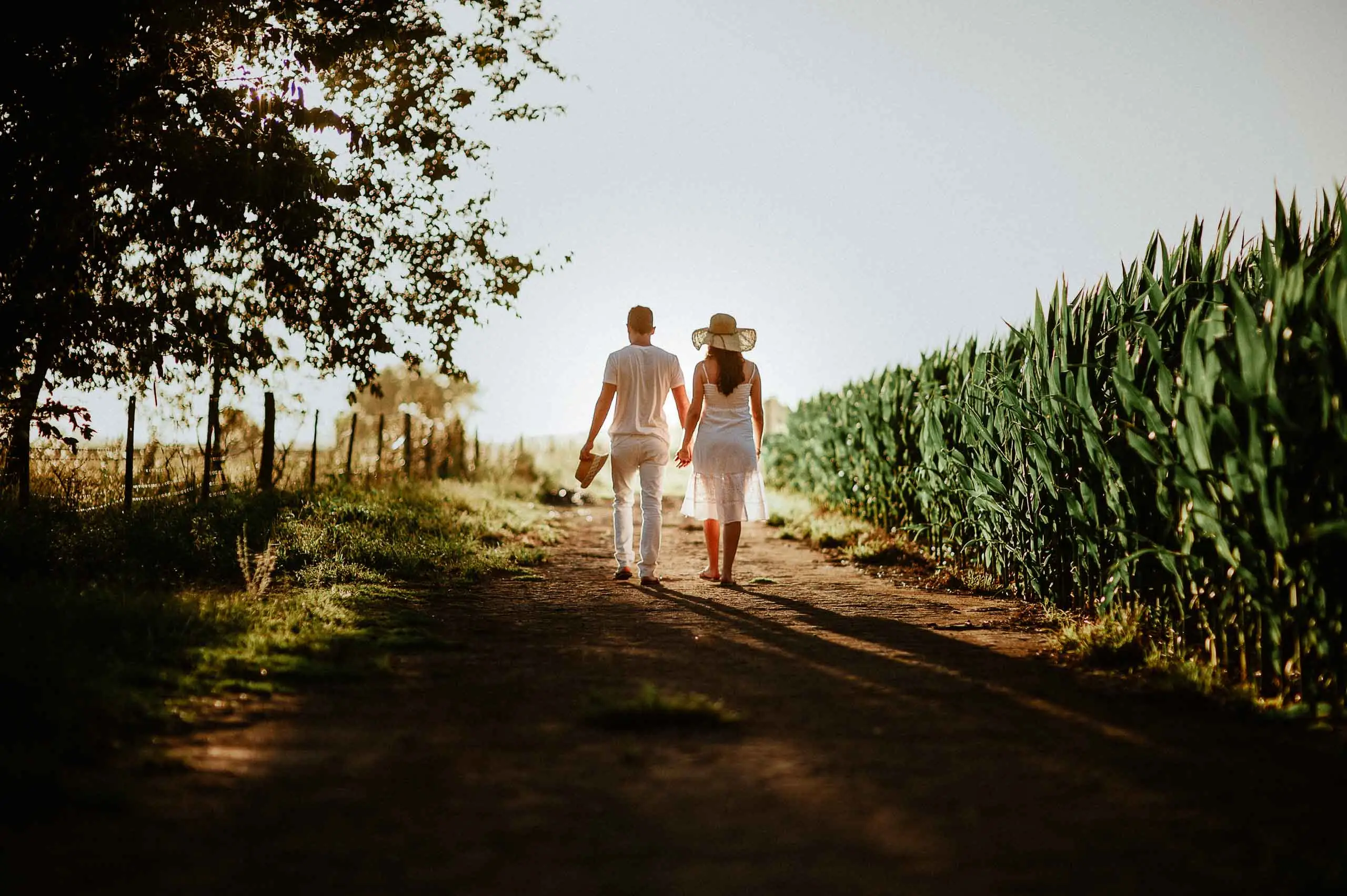 Pareja caminando junto a un maizal al atardecer